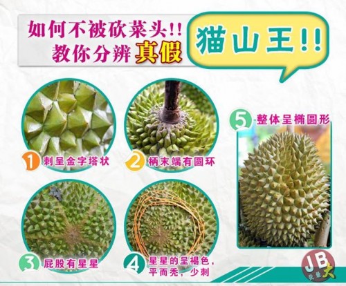 maoshanwang9