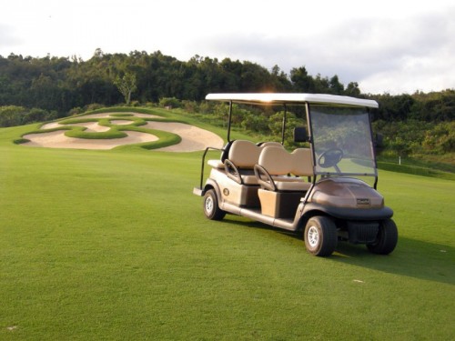 skyluxebuggycar