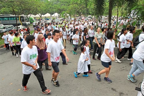 annual-charity-run-121016-002