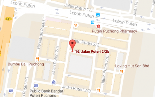 google-puchong