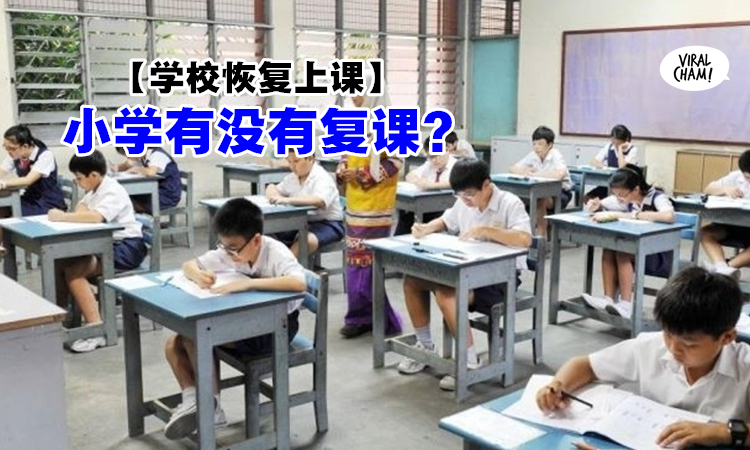 小学有复课吗 教育部高层透露 陆续安排恢复上课 小学则不会明年才开课