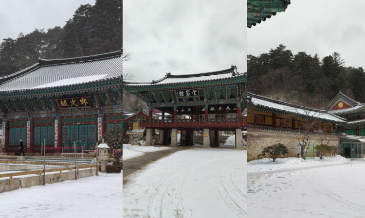  trip-to-gangwon-korea- 