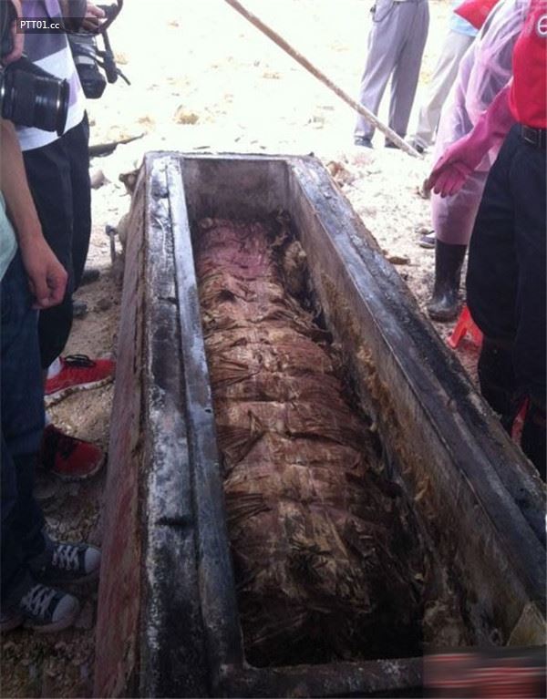 明朝「冥婚」棺木墓被挖掘13