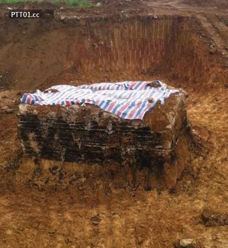 明朝「冥婚」棺木墓被挖掘4
