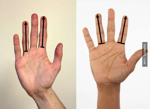 科学家研究发现男人的手指长度会影响对女人的疼爱1