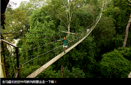 1.悬桥探险（Canopy Walkway）1