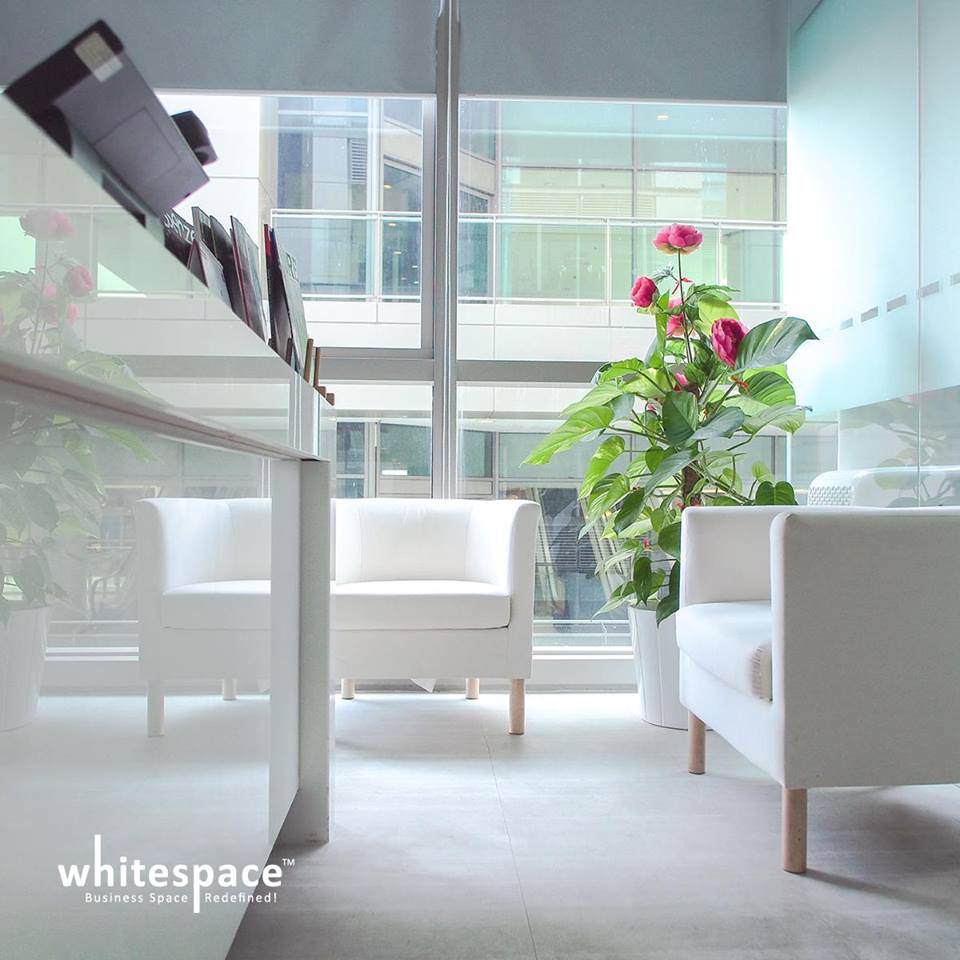 whitespace004