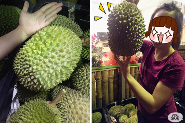 durian & fruits big durian